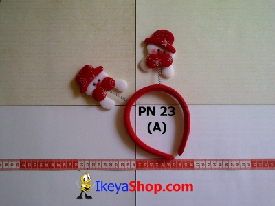PN 23 A  large2